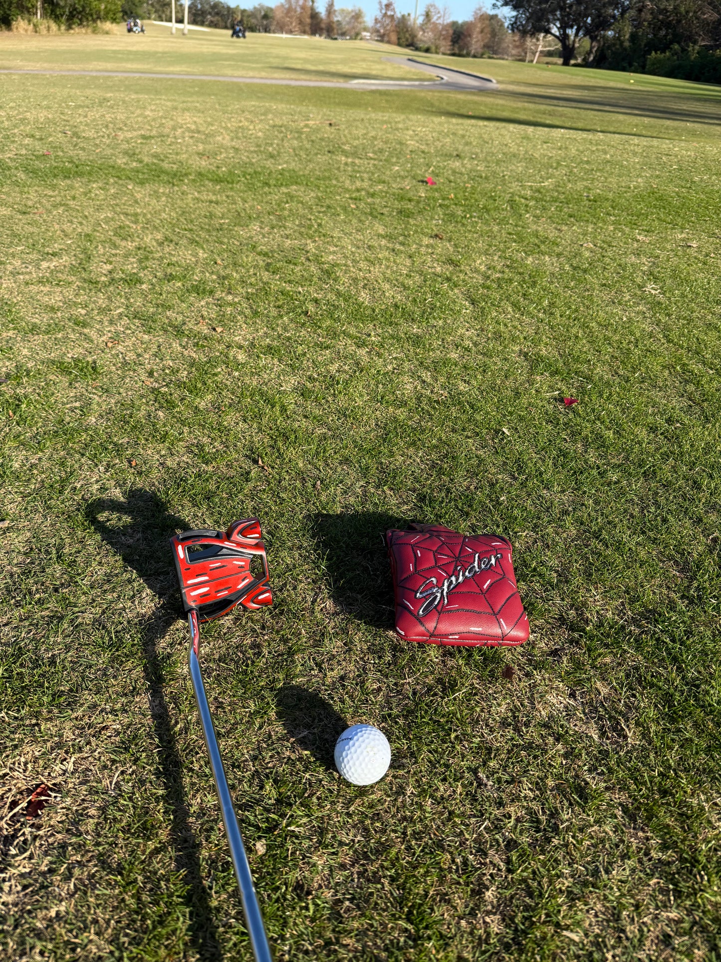 TaylorMade Spider Tour "Cartoon" Putter